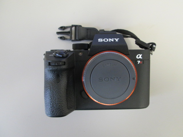 Sony A7R M3 - Click Image to Close
